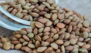 Lentils